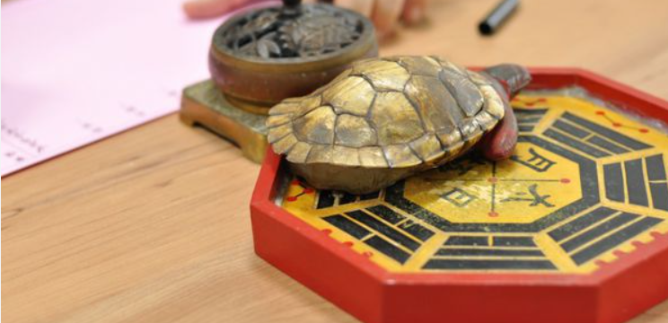 《你以为在学交易，其实一直在学算命》